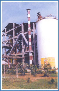 AP Plant