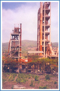 Orissa Plant